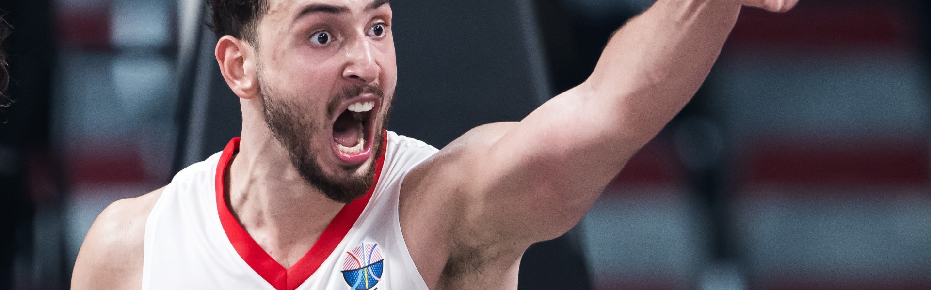 土耳其的优势在哪？主教练：字母哥在篮下的表现不如申京